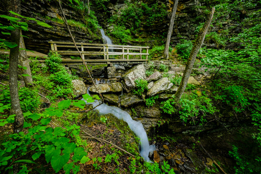Bridge Over the Twins
