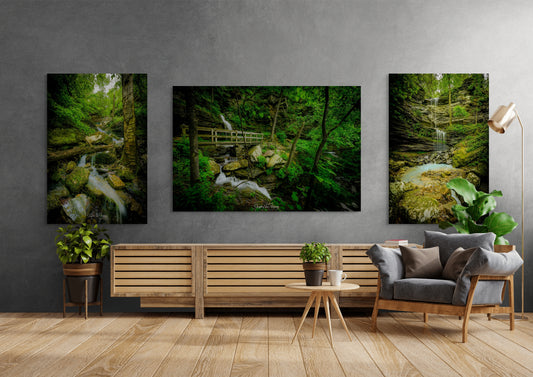 Three nature-themed paintings on a gray wall above a wooden console table with a sofa and decorative items.