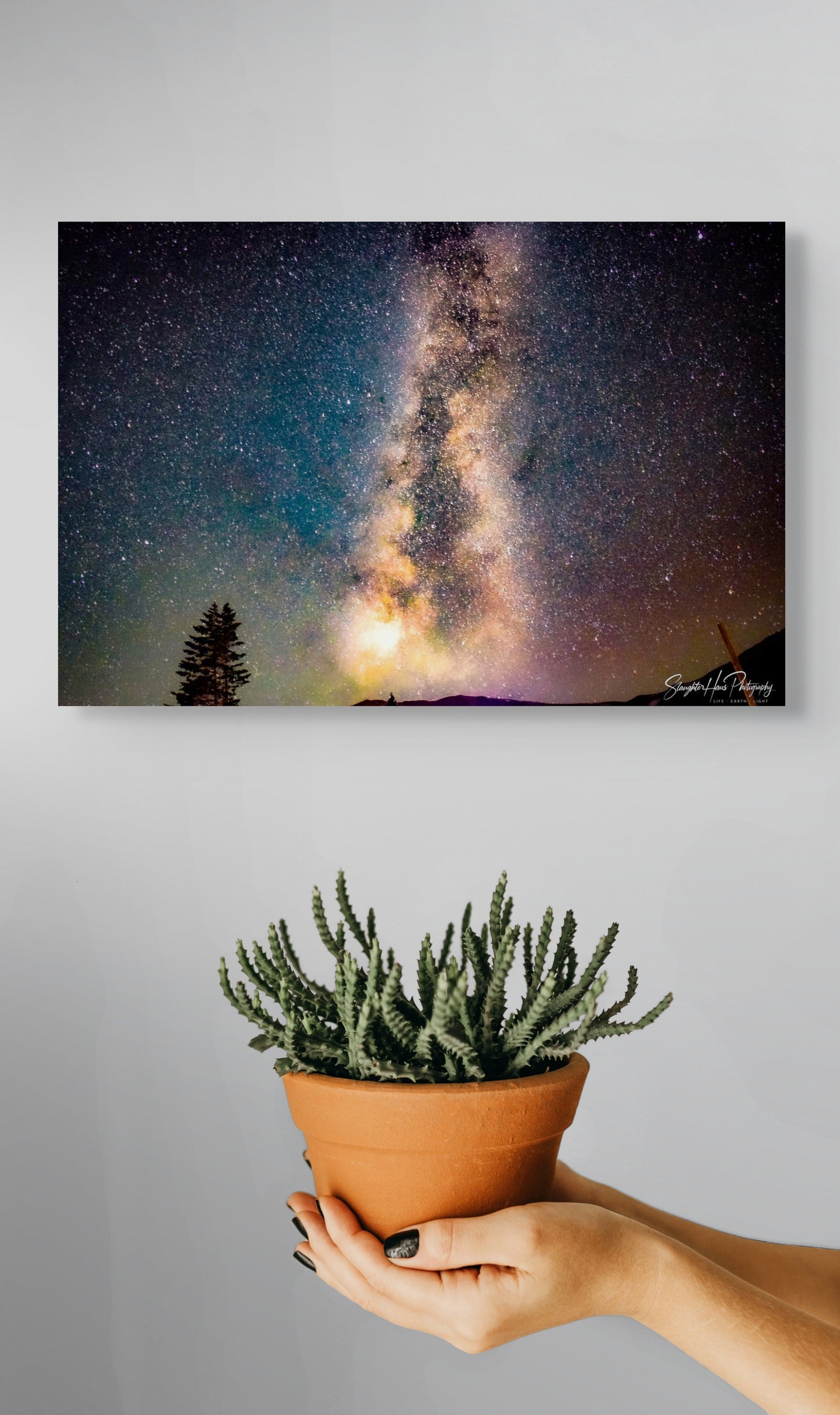 Under the Stars