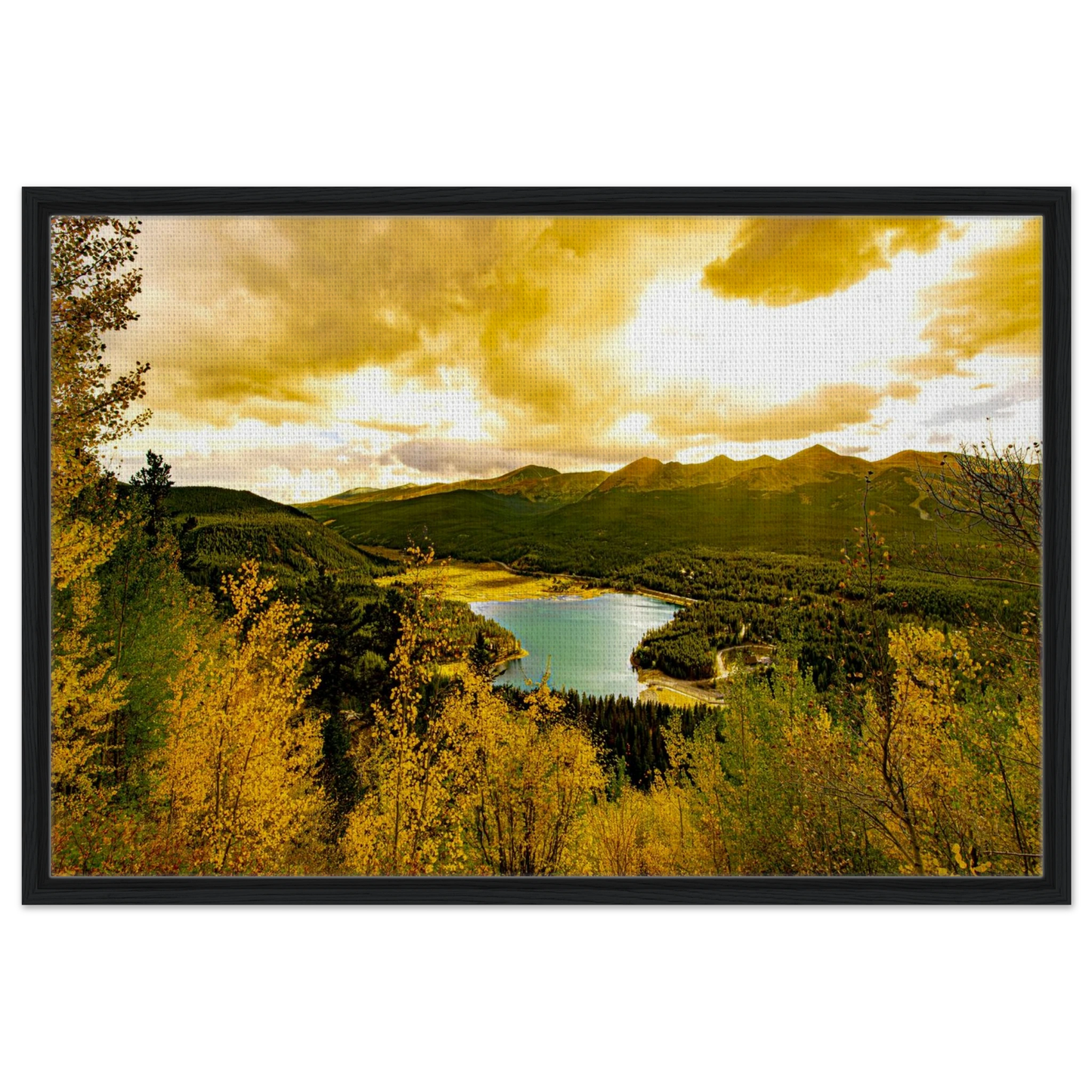 206036b1-f32e-4908-a873-fb2e5b982930