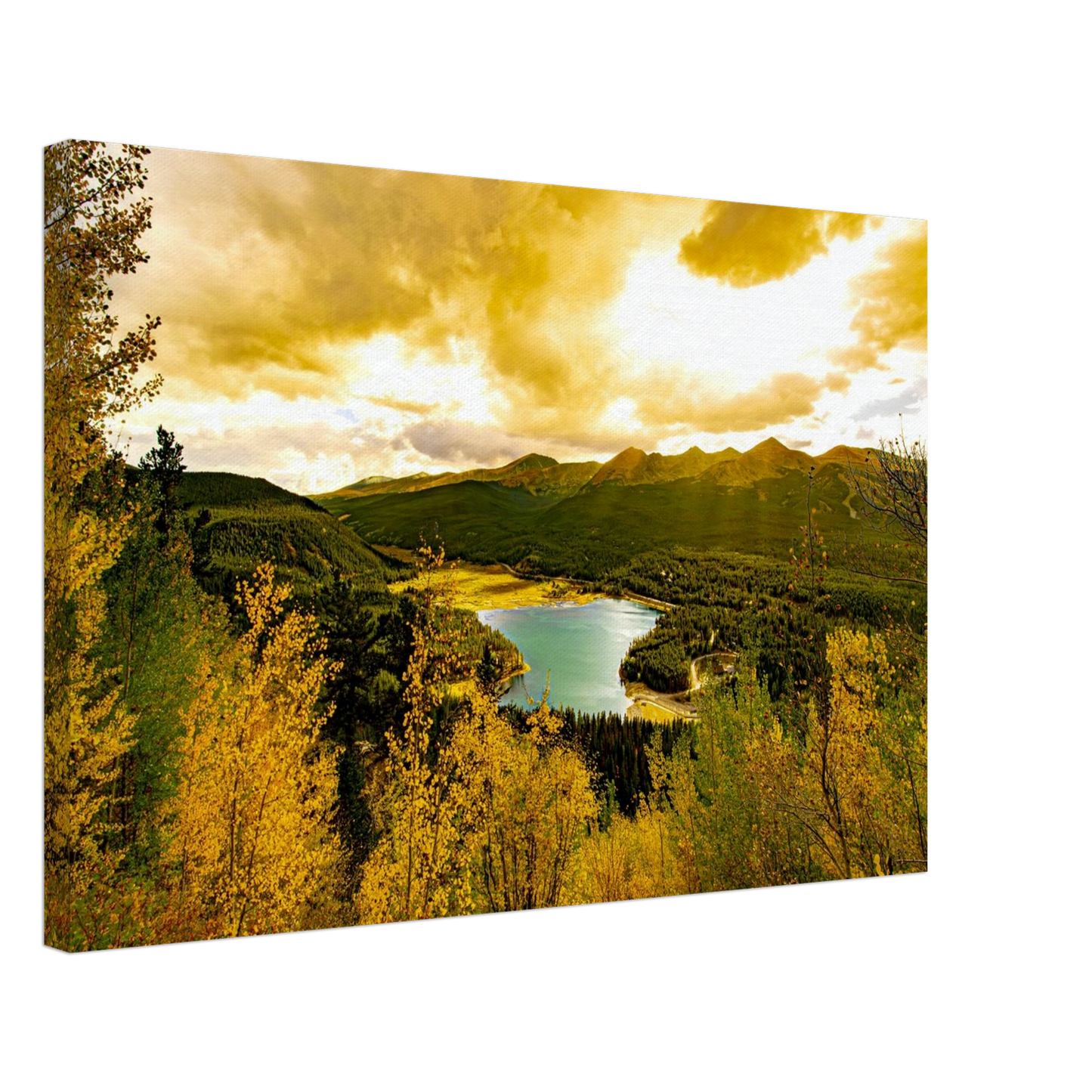 2105c09f-6da7-4aa1-a233-36012624e198