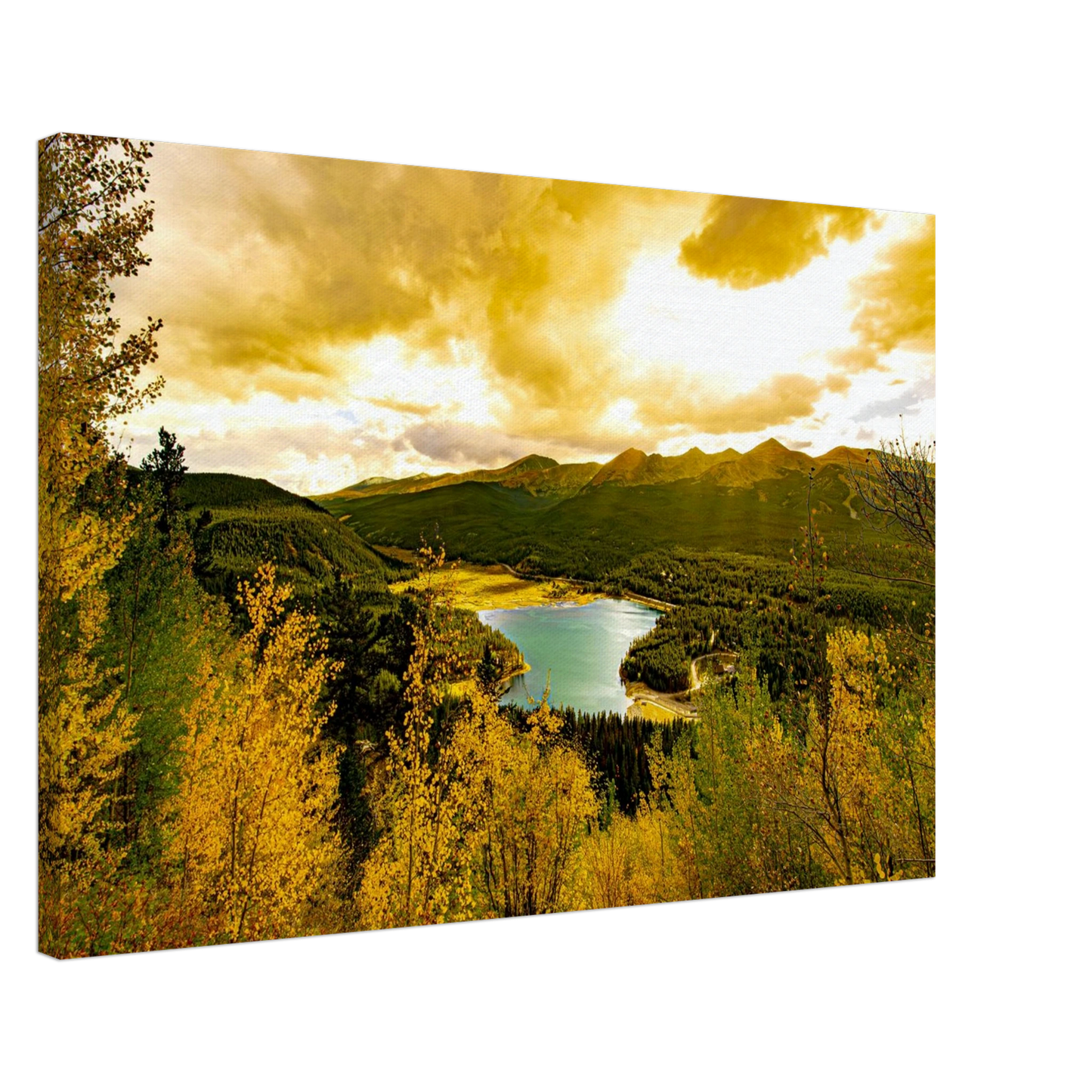 24bc2c87-3d6f-45d2-8f57-21065c2db47c