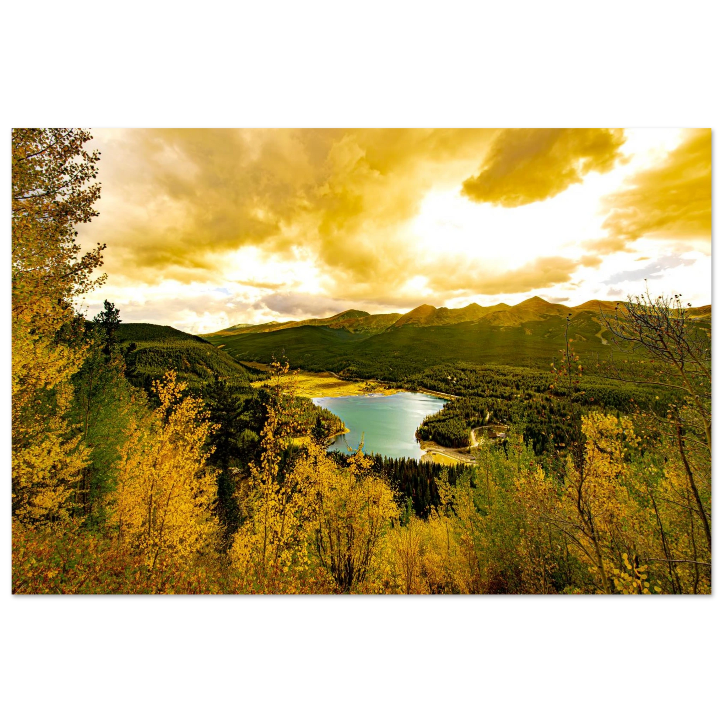 36c643cc-dea9-4972-990f-3591c06d0663