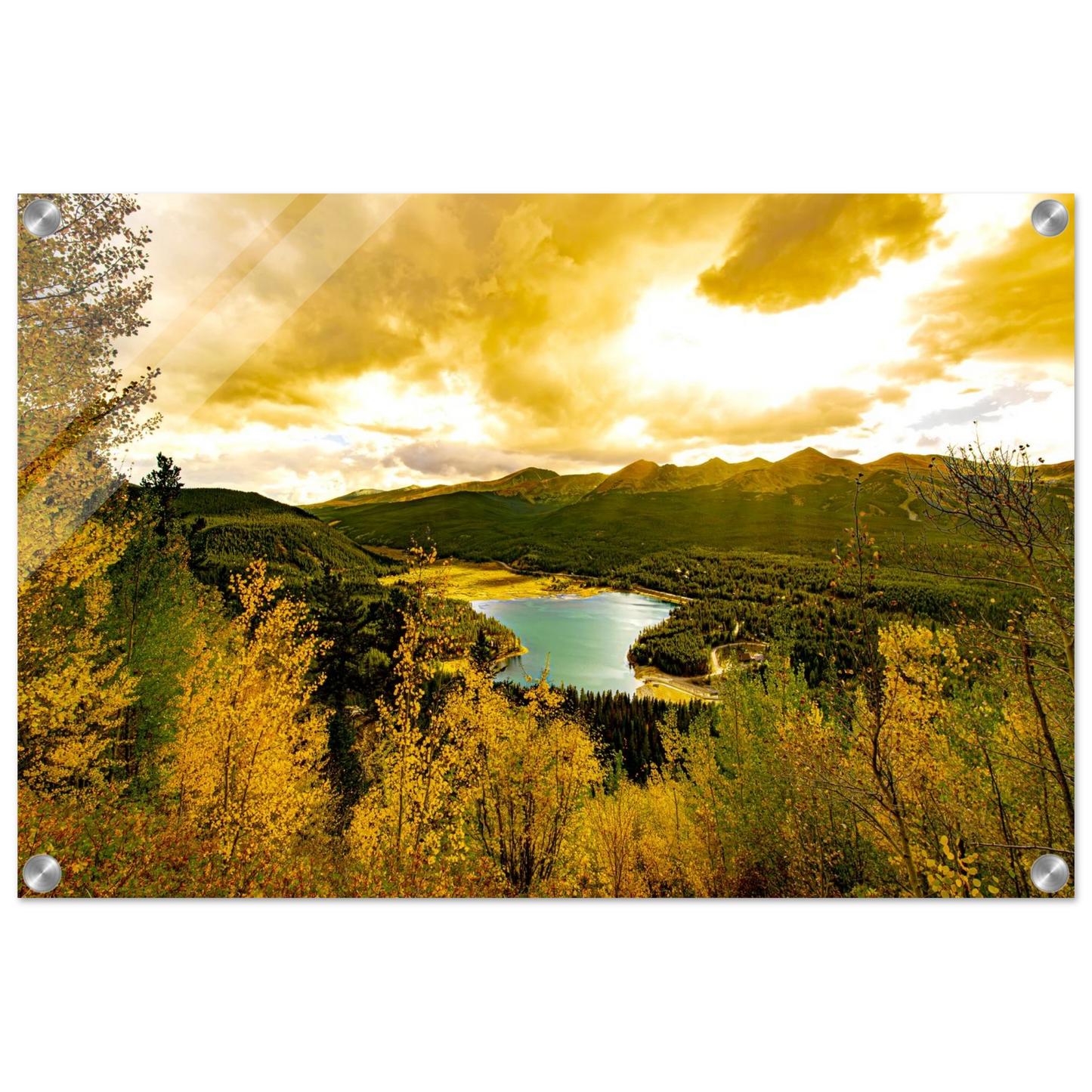 44177edf-5094-43b3-9d1e-996f3e470b1e