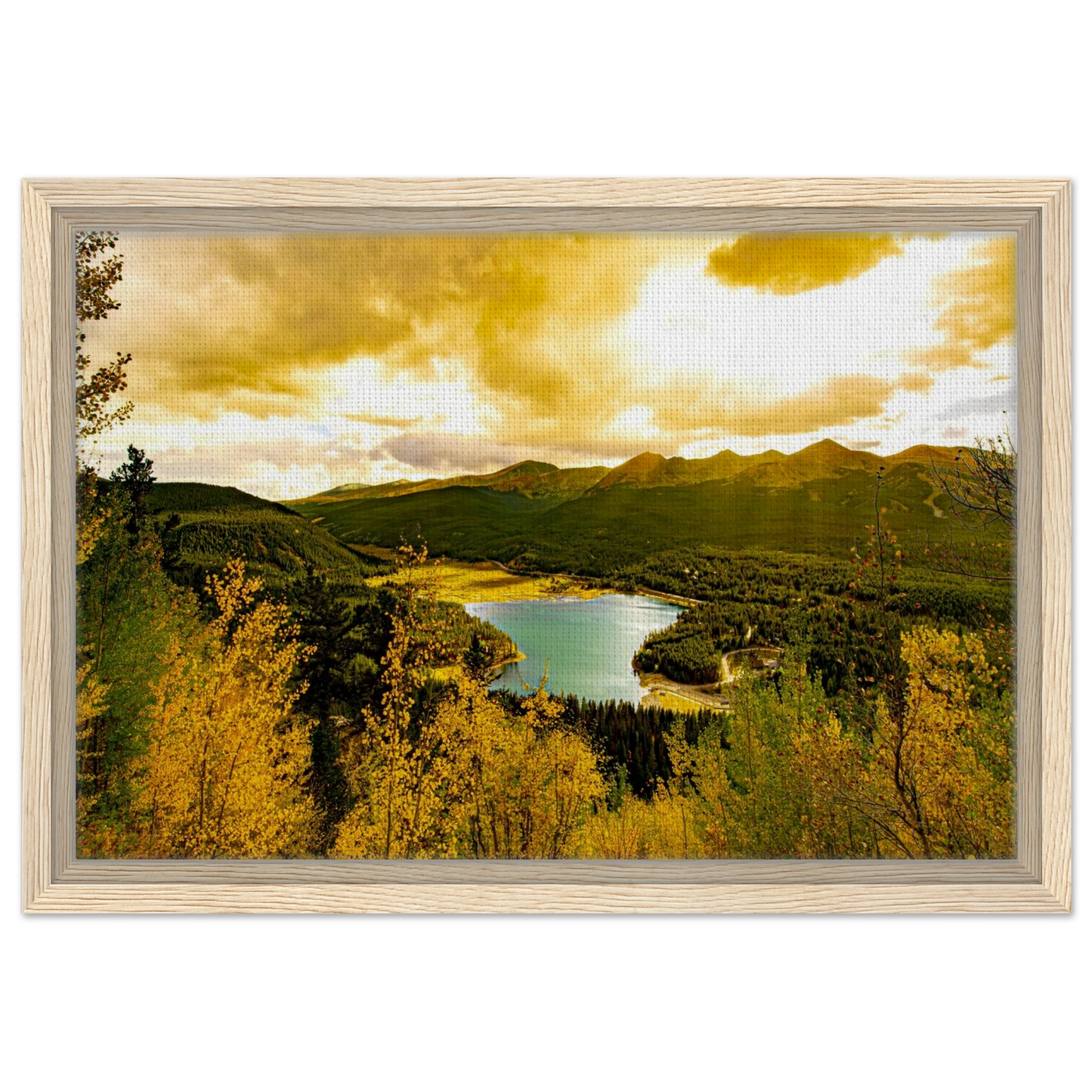 65ba32f9-619f-44de-a656-dd93fa844f3e