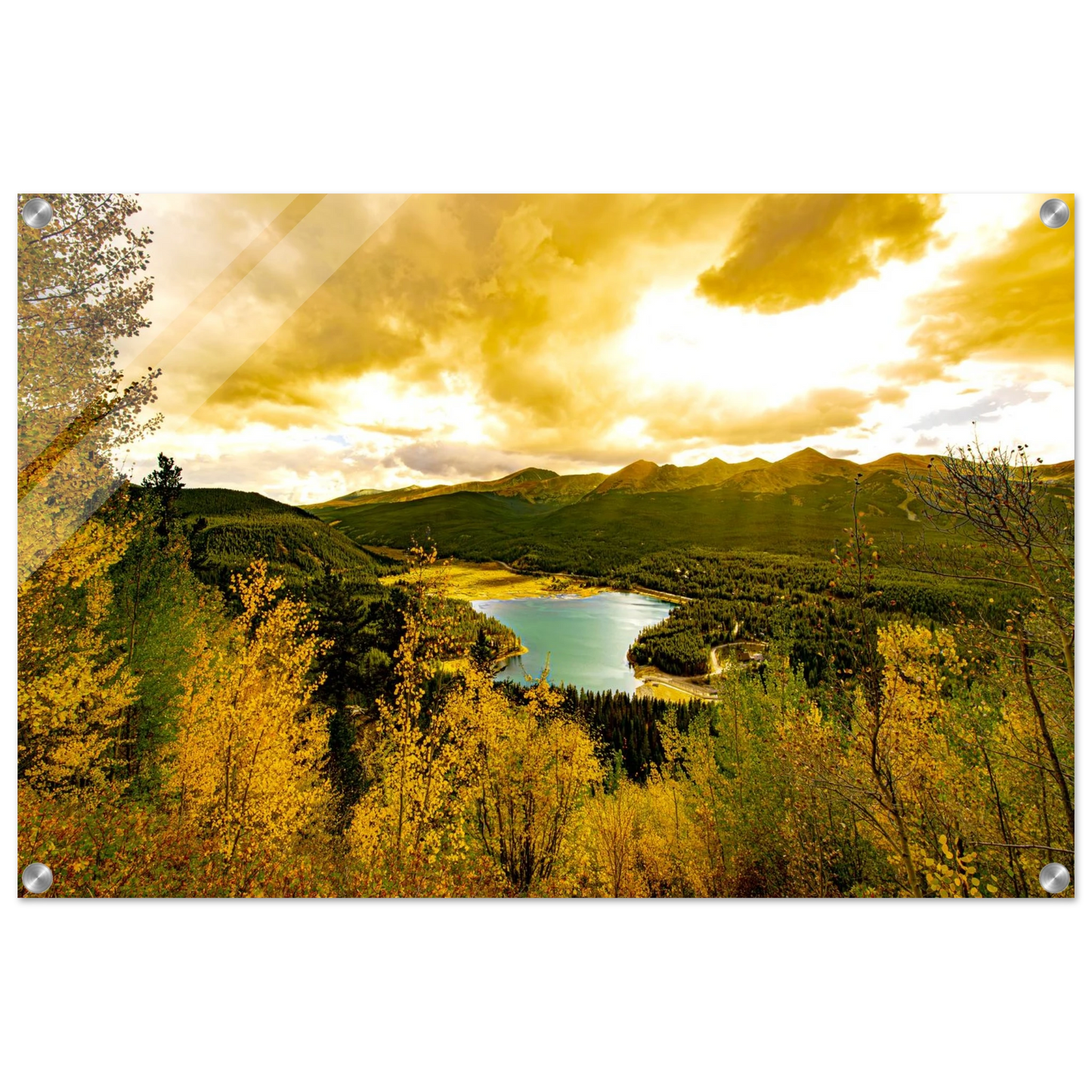 67c8325d-7b84-4828-87bd-c042b658d659