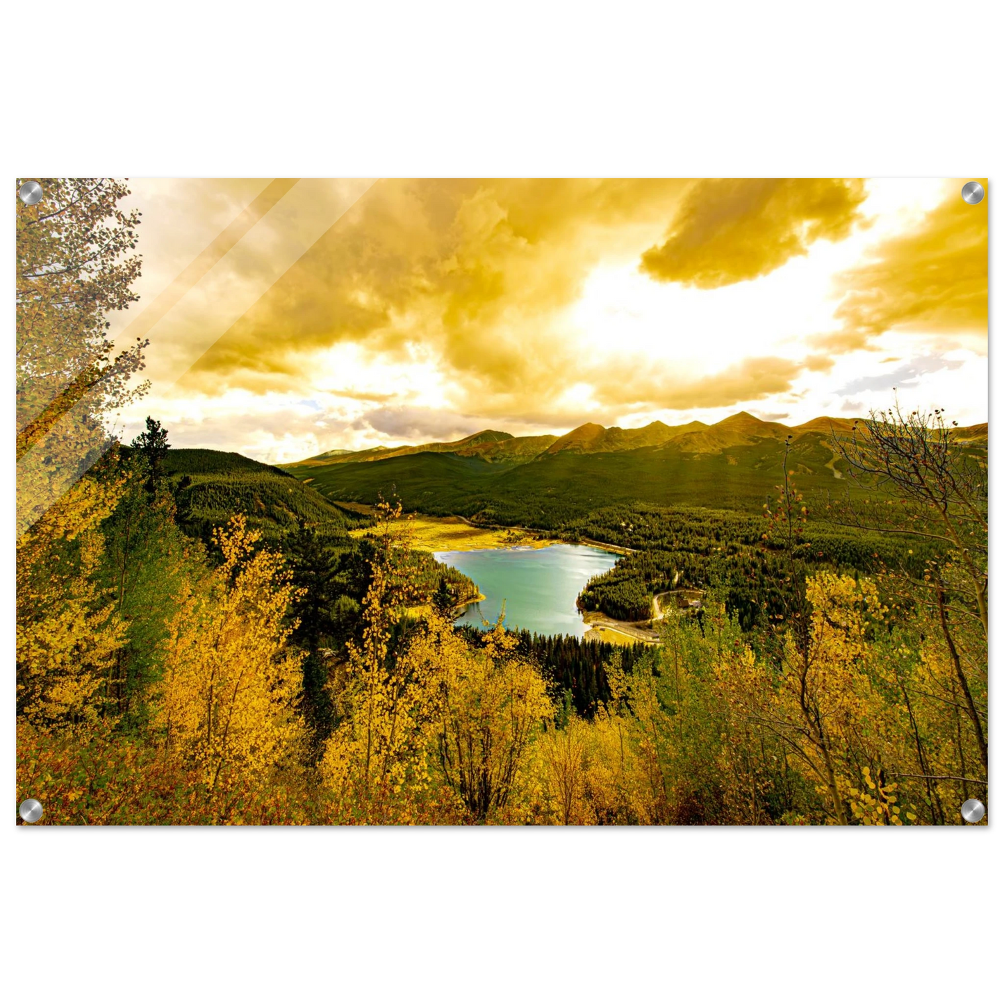 9887c7f2-566f-4da0-aca1-388792fcedc8