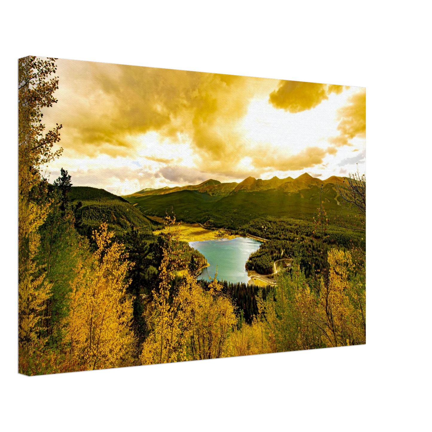 98de80c0-f0e7-4f91-8458-edfcc052d925