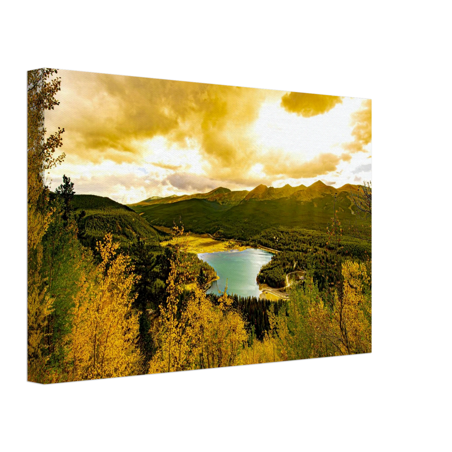 9cd5a07b-8b05-41a5-bd20-179c70436e0f