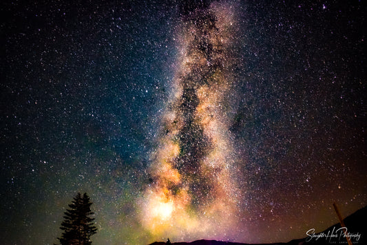 Under the Stars