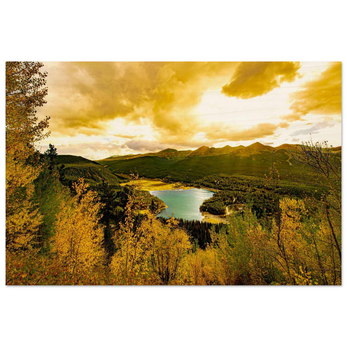 ac4c61fb-2e65-4907-8cb3-be9e12e5bc88