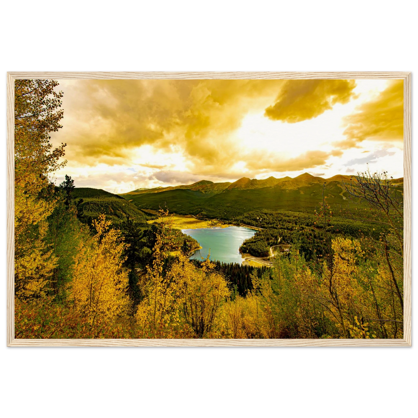 b10d1017-5c04-432c-8b7e-ee1c96939024