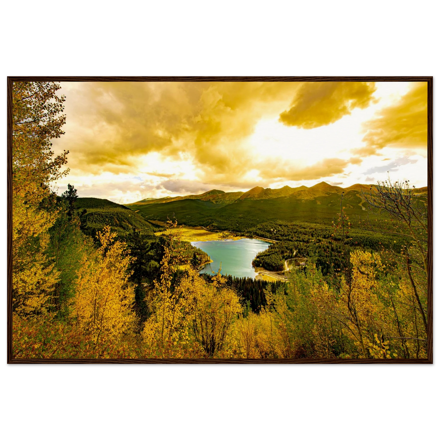 b7c4d416-9ceb-424e-8097-d0561e336584