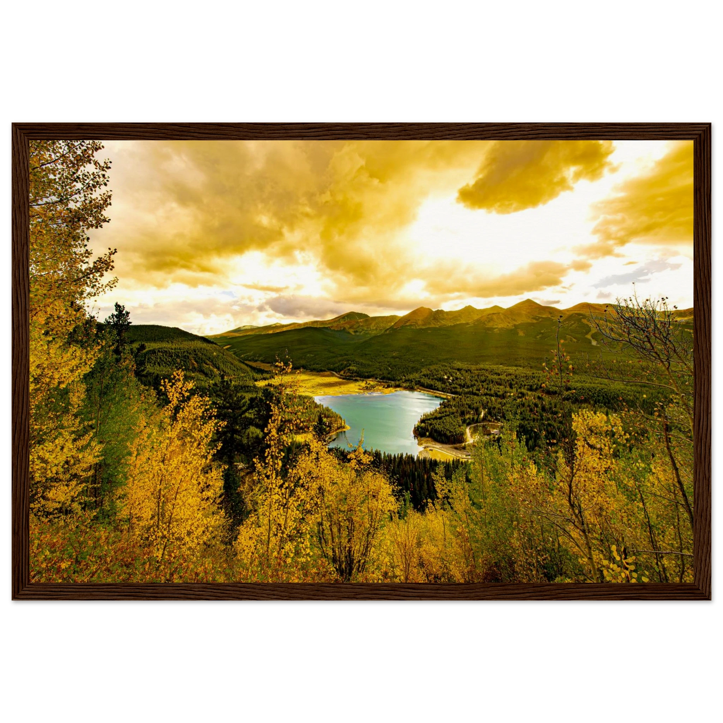 e42dd2f8-2c56-4277-9e46-81ea876663d5