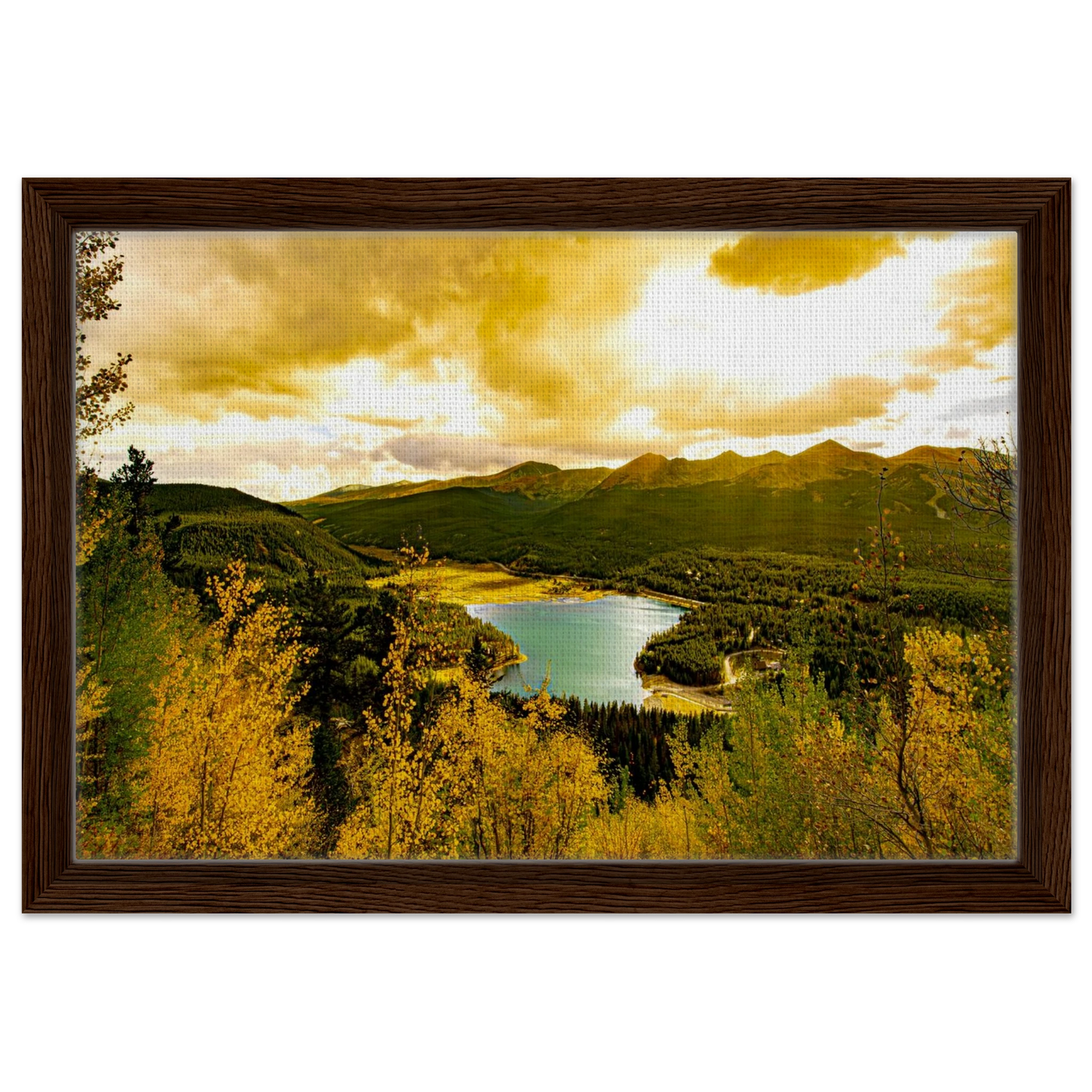 f96cb258-69aa-45fd-9de5-dda904f64c2d