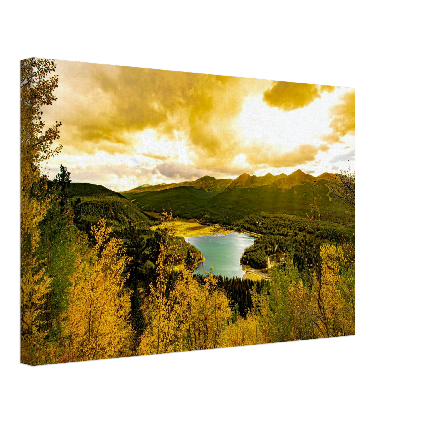 fe655a64-5a27-46fd-9e54-7ad55e47705a